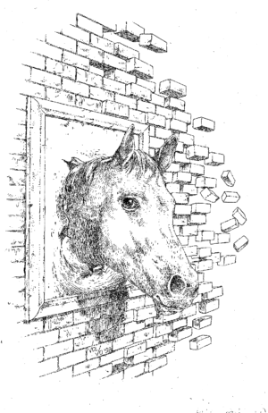 Pogled v neskončnost